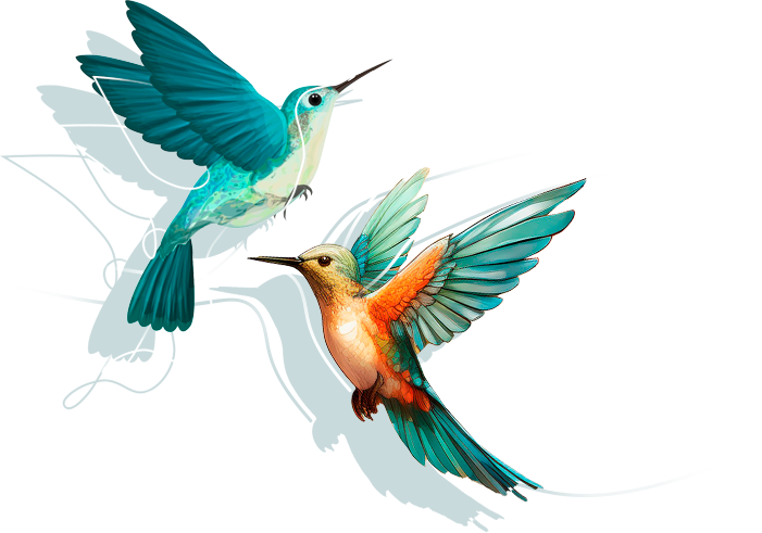 colibri