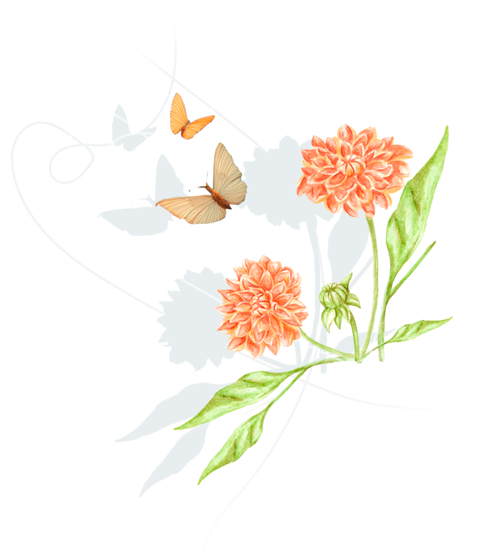 flores_mariposas2 colibri